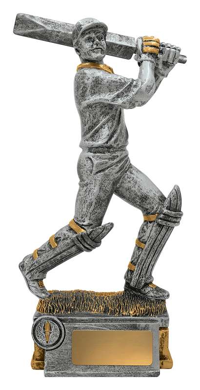 Cricket Batsman