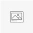 Budget Icon