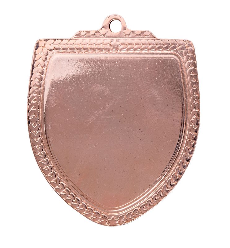 Shield All Sports Silver Medal 80mm
