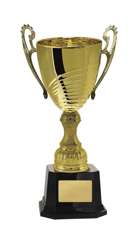 Silver Metal Cup 277mm