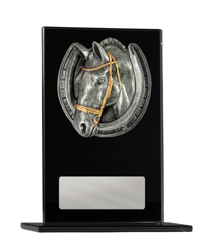 Swimming Glass Trophy 200mm