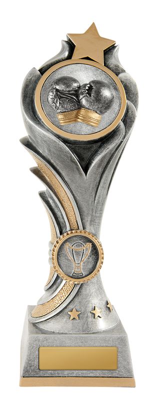 Boxing Aussie Rules Trophy 200mm