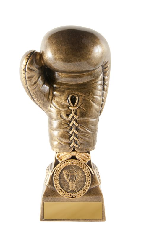 Boxing Glove