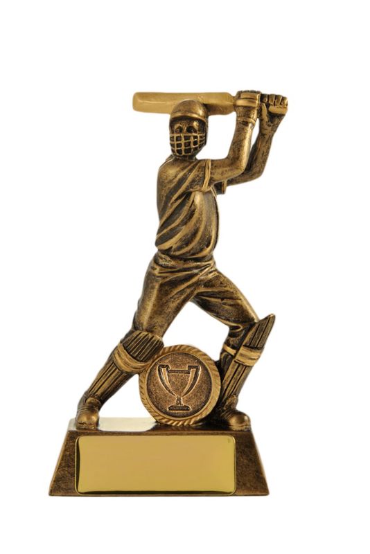 All Action Hero-Batsman