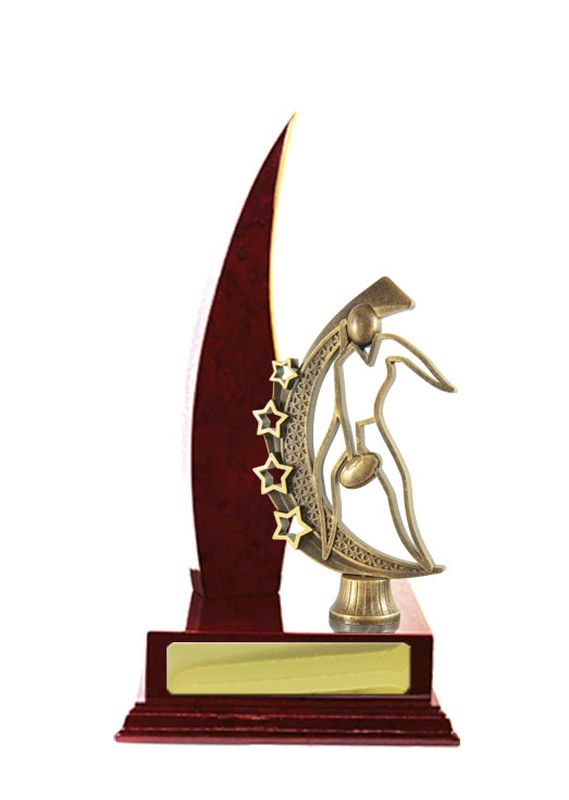 Aussie Rules Trophy 270mm