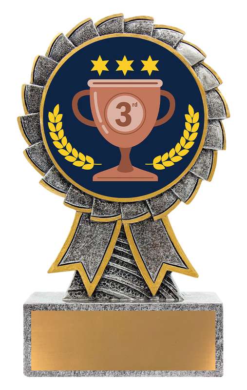 Aster – 3rd Place