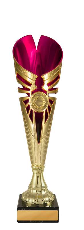 Angelico Cup