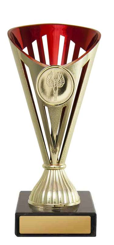 Fan Budget Cup