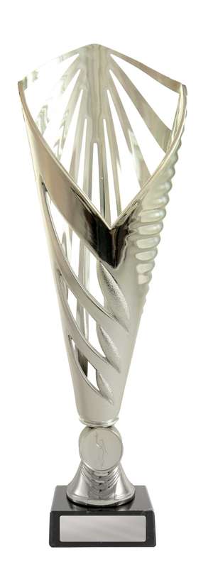Aerius Cup