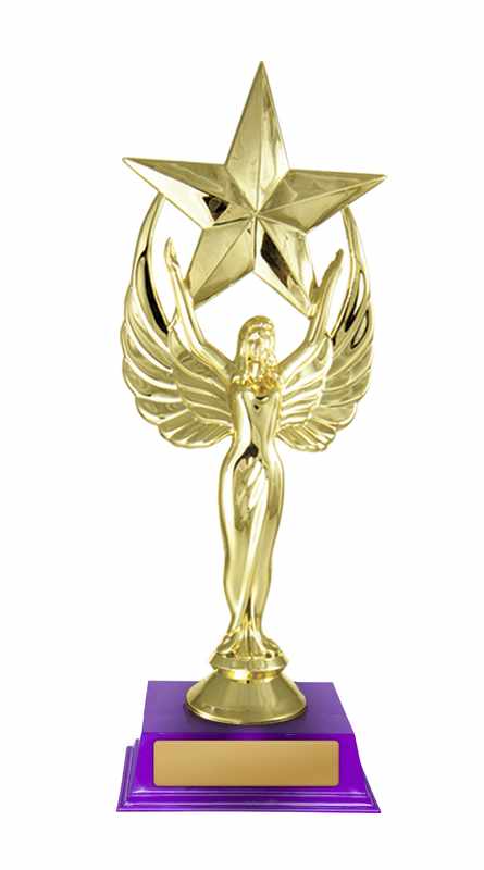 Angel Star