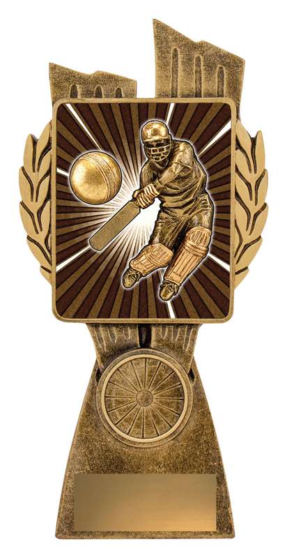 Lynx – Cricket Batsman