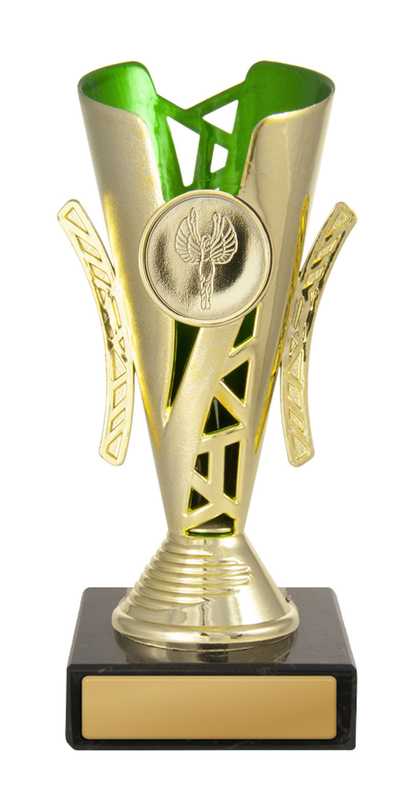 Festival Cup