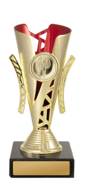 Festival Cup