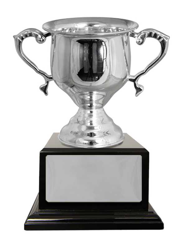Silver Plated Cup